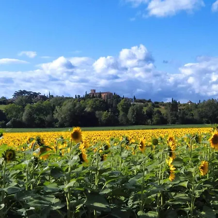 Les De Campardon - Tournesols Et Coquelicots *